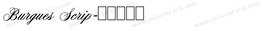 Burgues Scrip字体转换